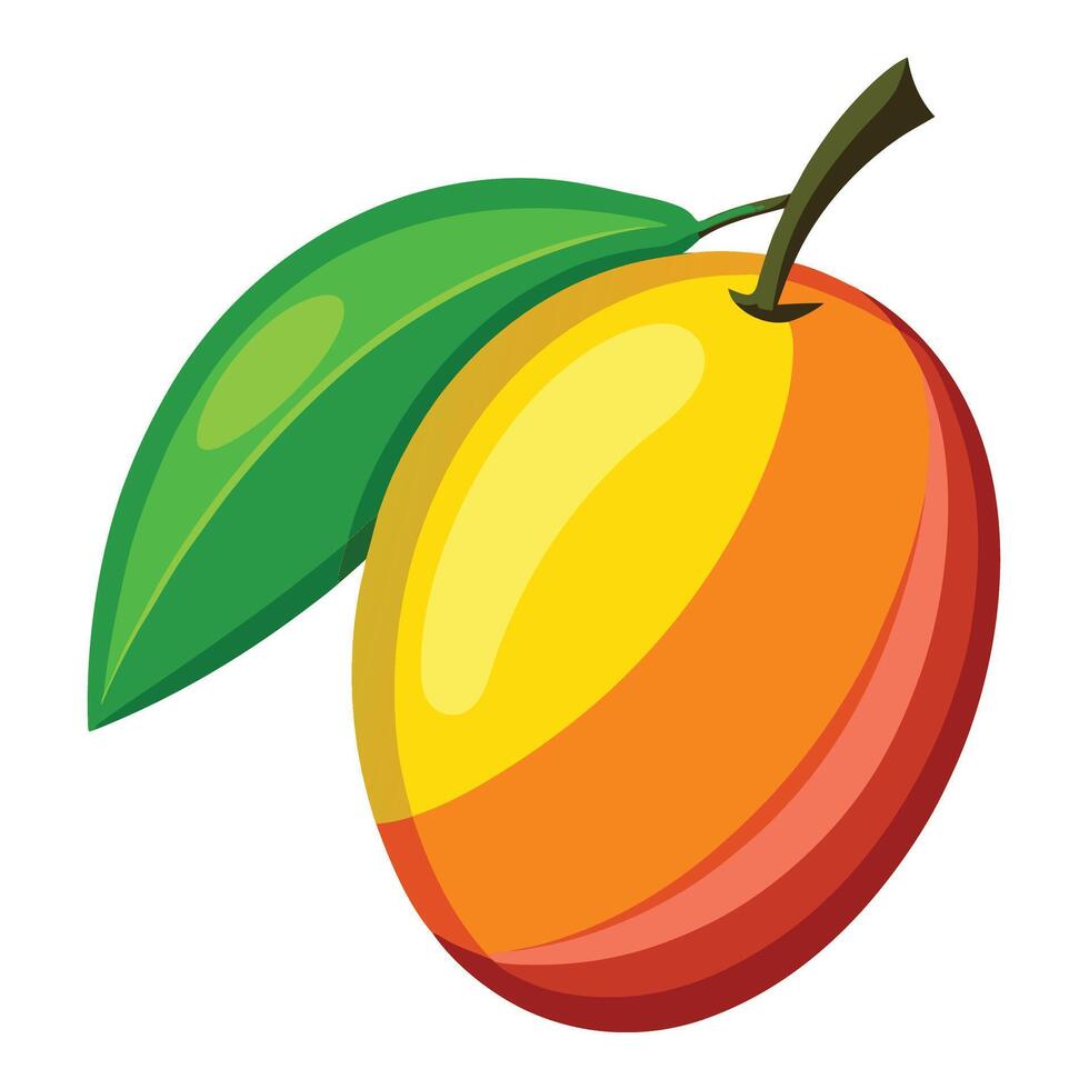 Ripe yellow mango on white background vector