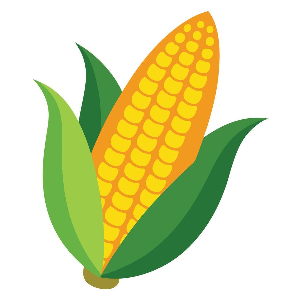 corn on the cob icon vectorillustration vector