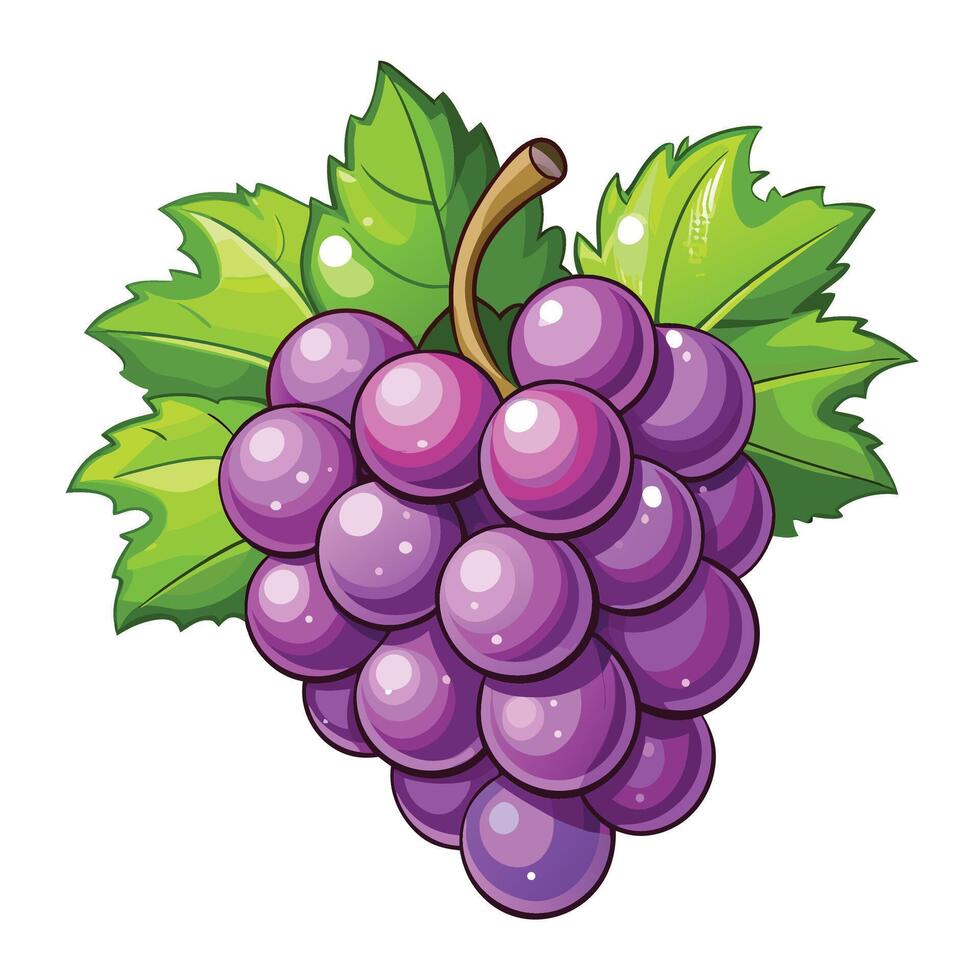 Many grapes on white background. Vectorillustration. vector