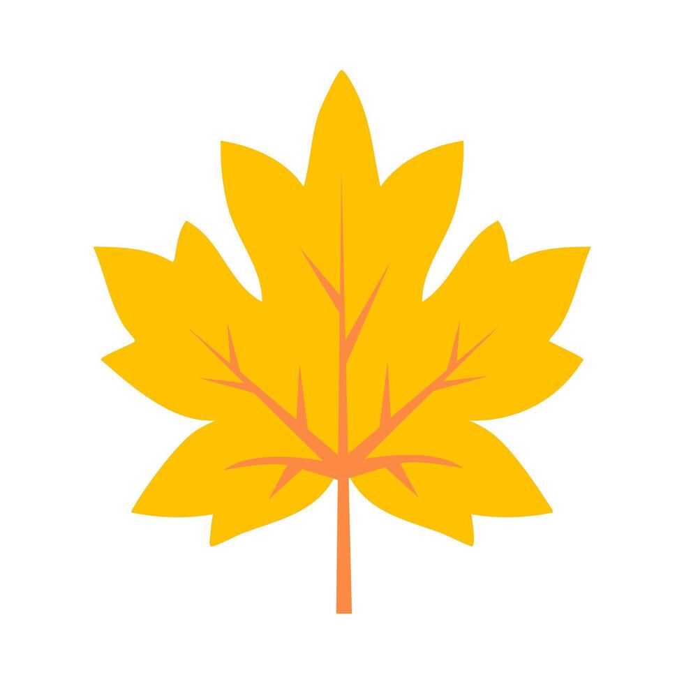 Yellow maple leaf. Autumn foliage illustration. Isolated element vector