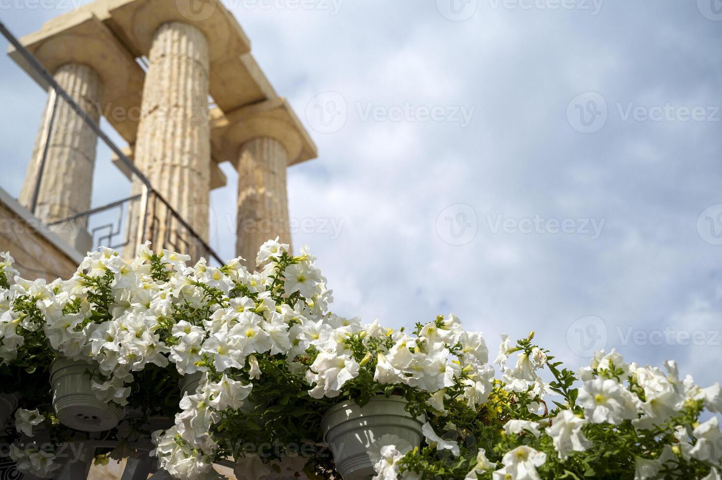 Background with sky, white flowers and columns. The concept of summer, recreation and tourism. thick clouds in the sky, white petunias in pots. space for text. photo