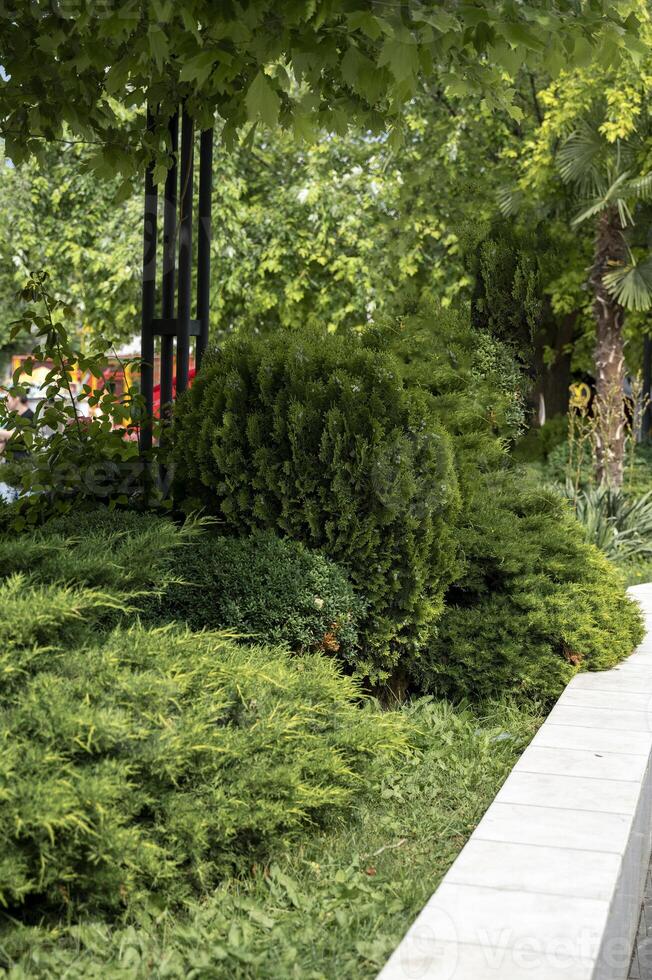 Granite stone fencing stretches along the green plantings in the park. Cypresses, junipers, green trees, bushes and palms grow in the daytime spring or summer park. photo