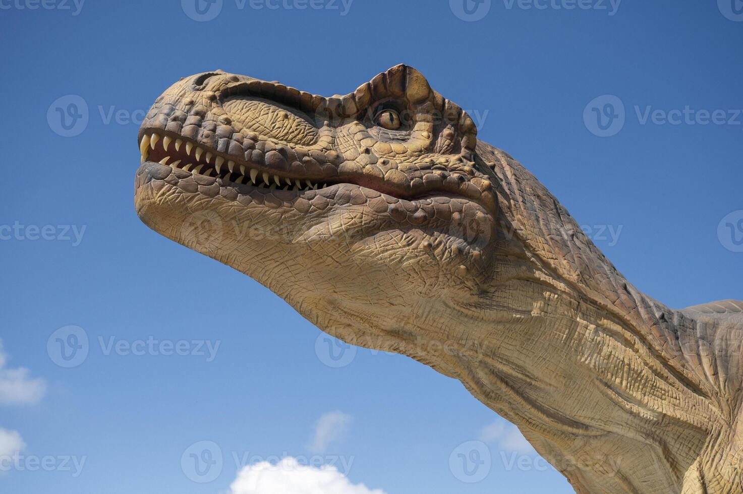 A close up of a dinosaur statue with its mouth open photo