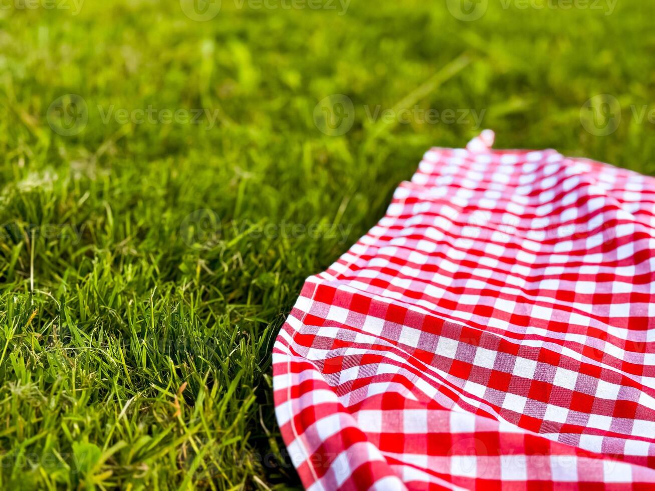 Red checkered picnic blanket on lush green grass in sunny outdoor setting photo