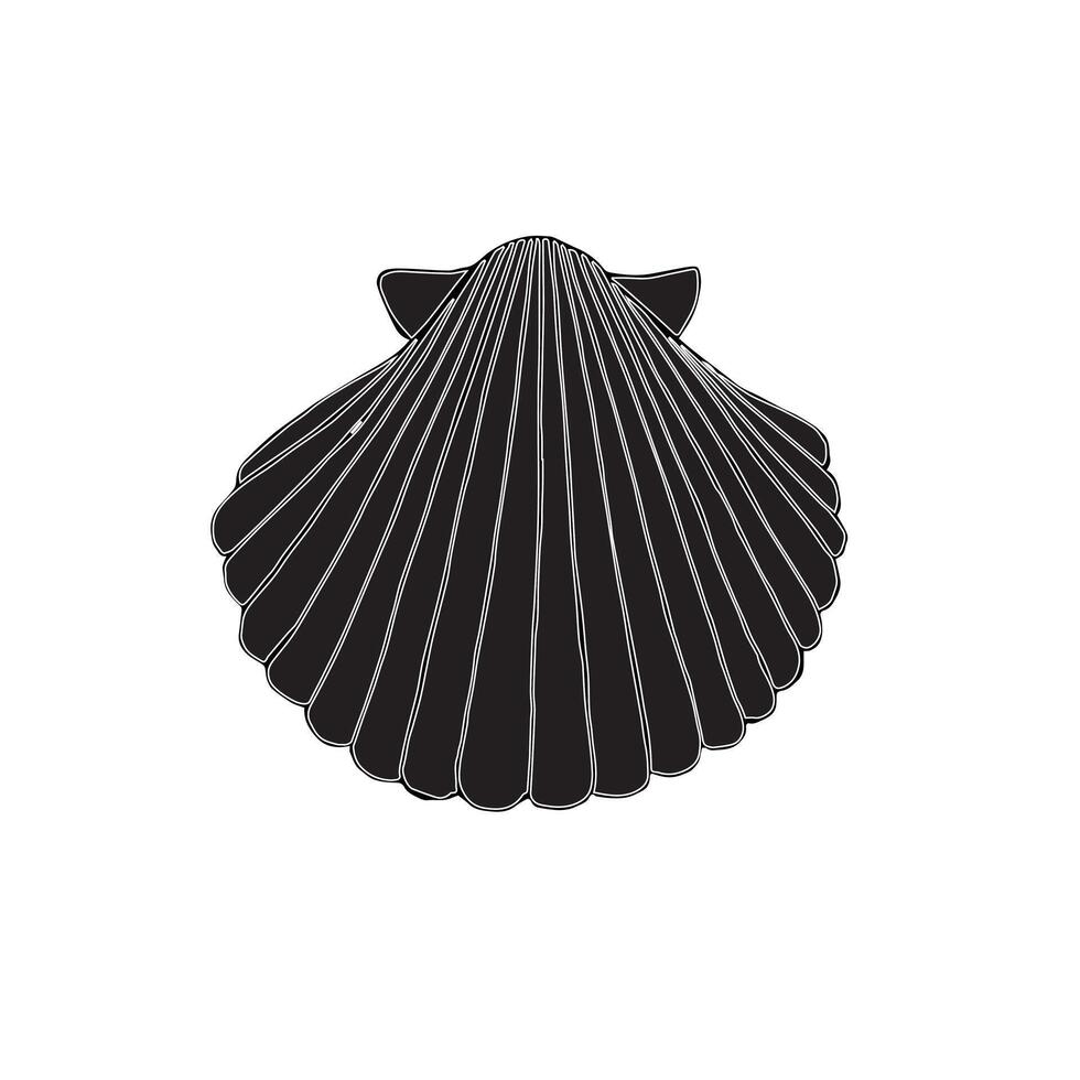 Hand drawn doodle sketch black shell vector