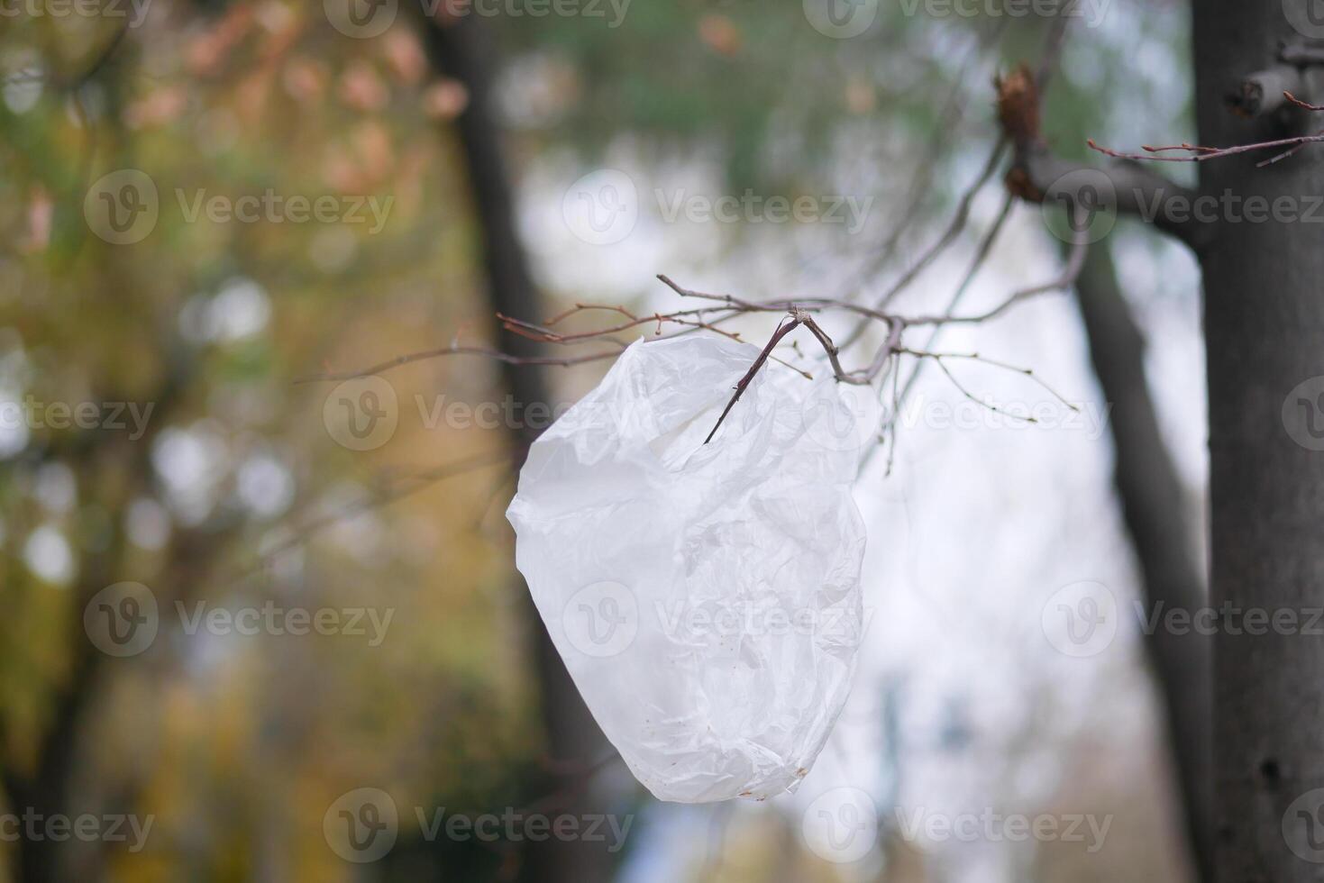 Plastic bag caught in tree branches during autumn photo