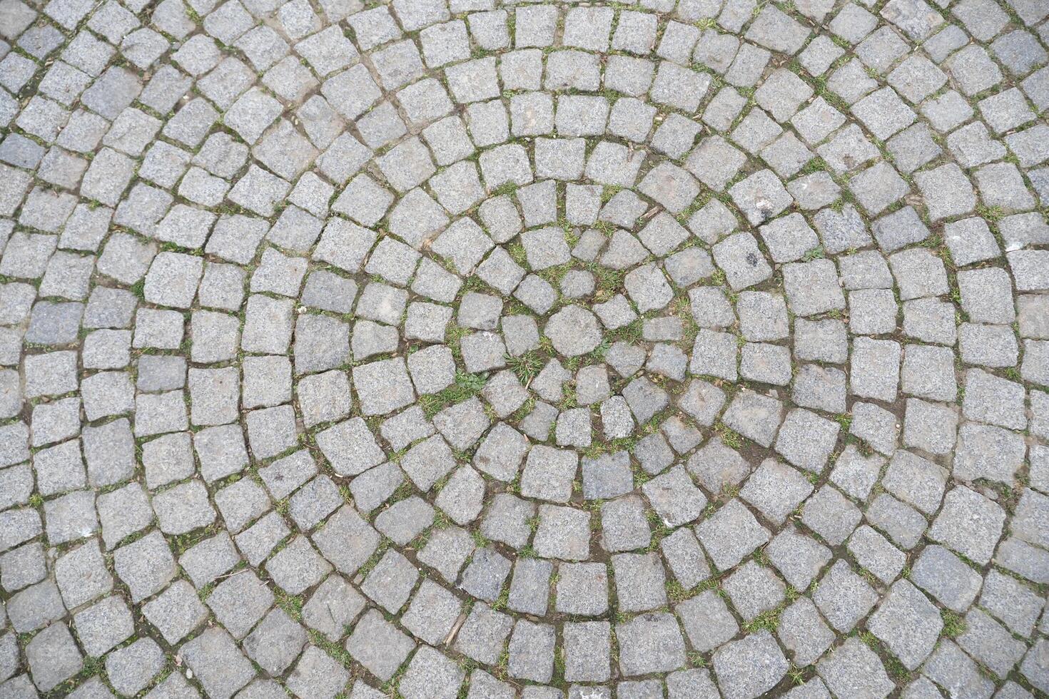 Circular stone pavement with moss patterns in a town square photo