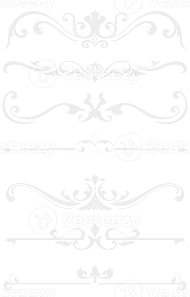 Luxury vintage room divider, decorated with lines, black background, transparent background png