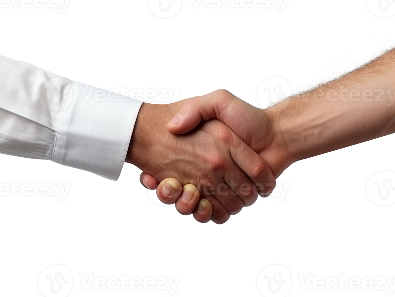 Two people shaking hands isolated on transparent background png