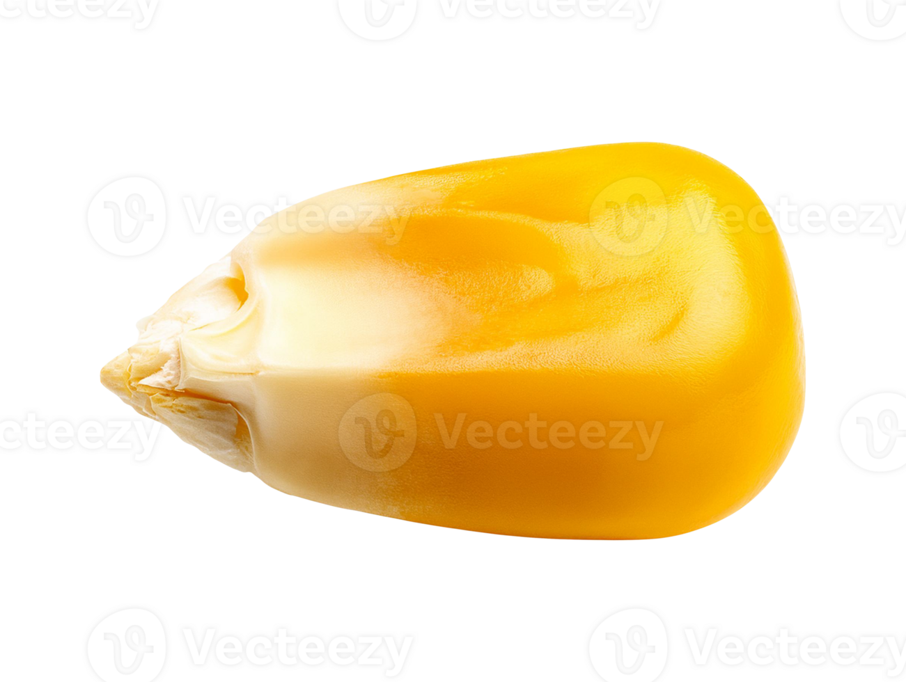Sweet corn grain with glossy appearance png