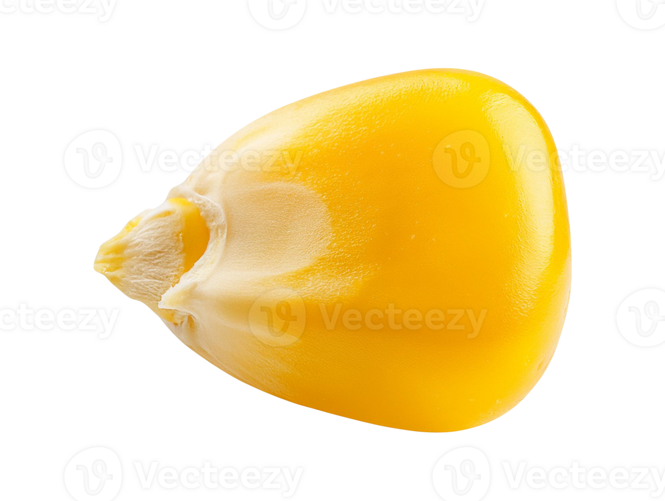 Fresh corn grain detailed object png