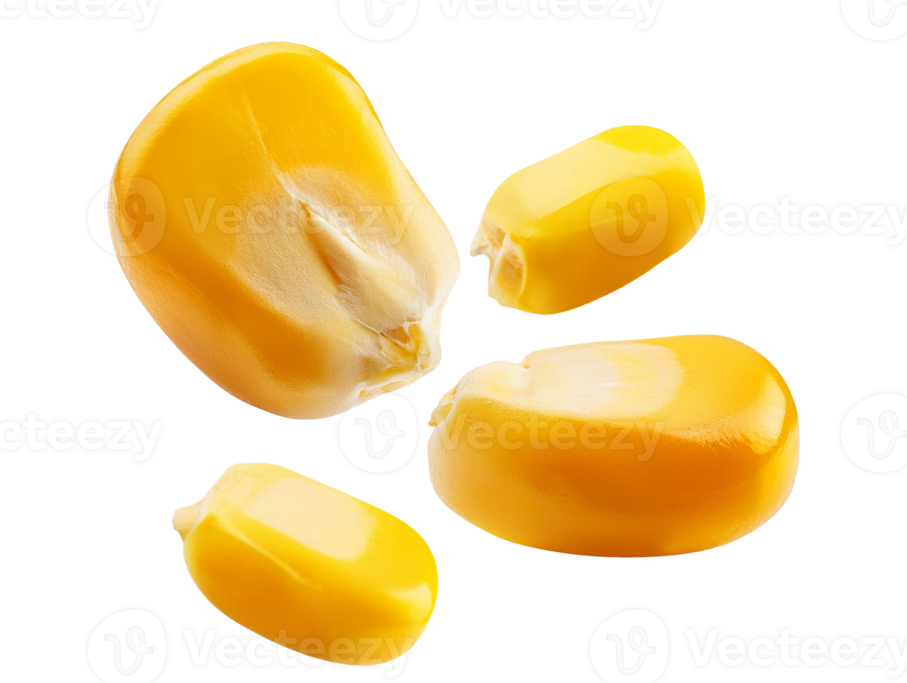 Organic corn kernels for food visuals png