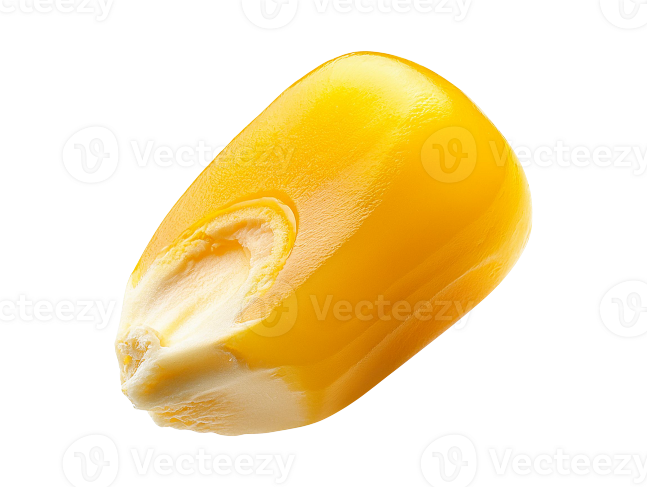 Single corn kernel isolated on transparent background png
