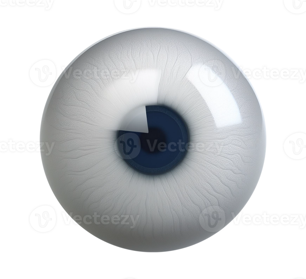 An eye with blue and white colors isolated on transparent background png
