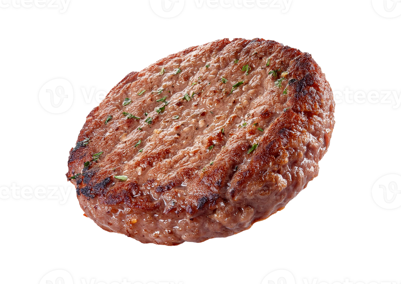 Beef Patty with Grill Marks and Realistic Texture png