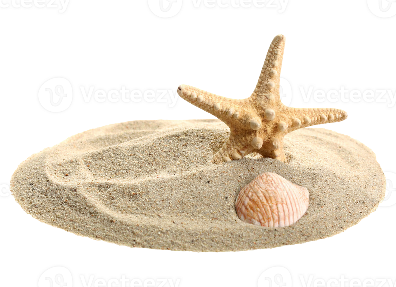 beach sand and starfish isolated on transparent background png