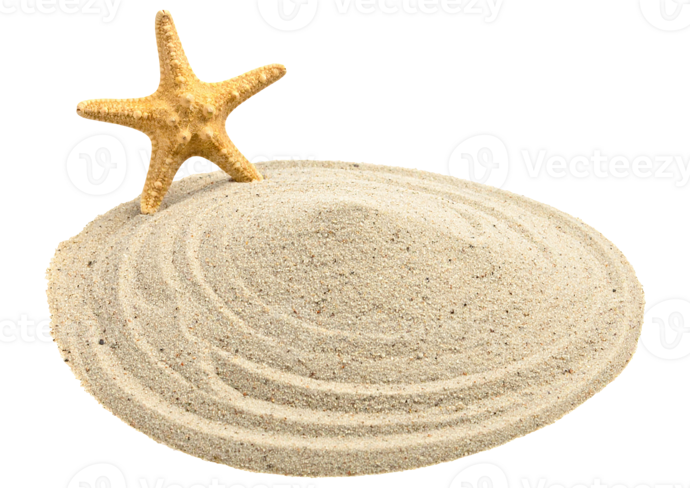 sand and starfish on transparent background png