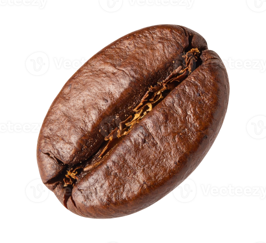 Aromatic coffee bean isolated png