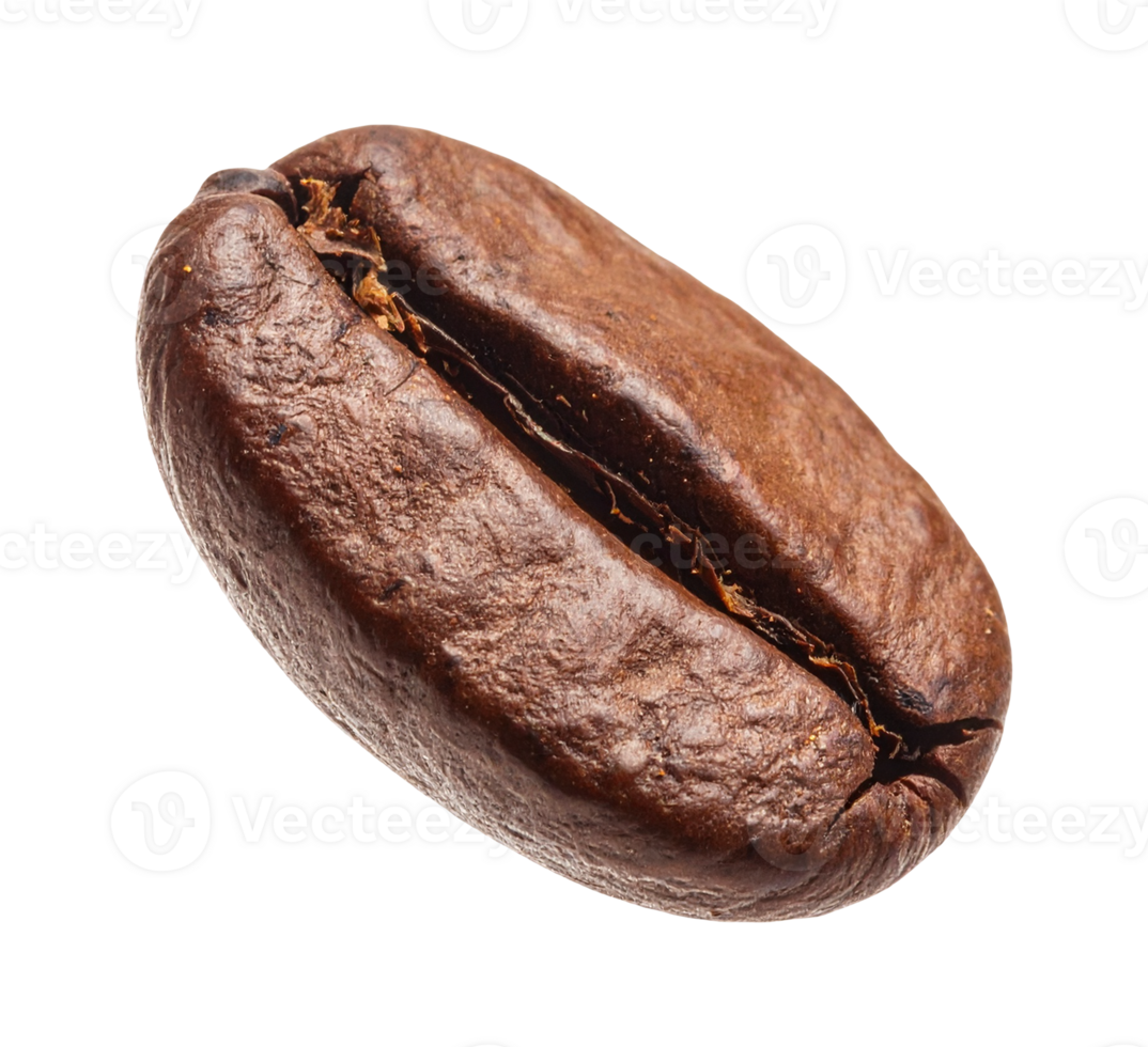Organic brown coffee beans in scattered form png