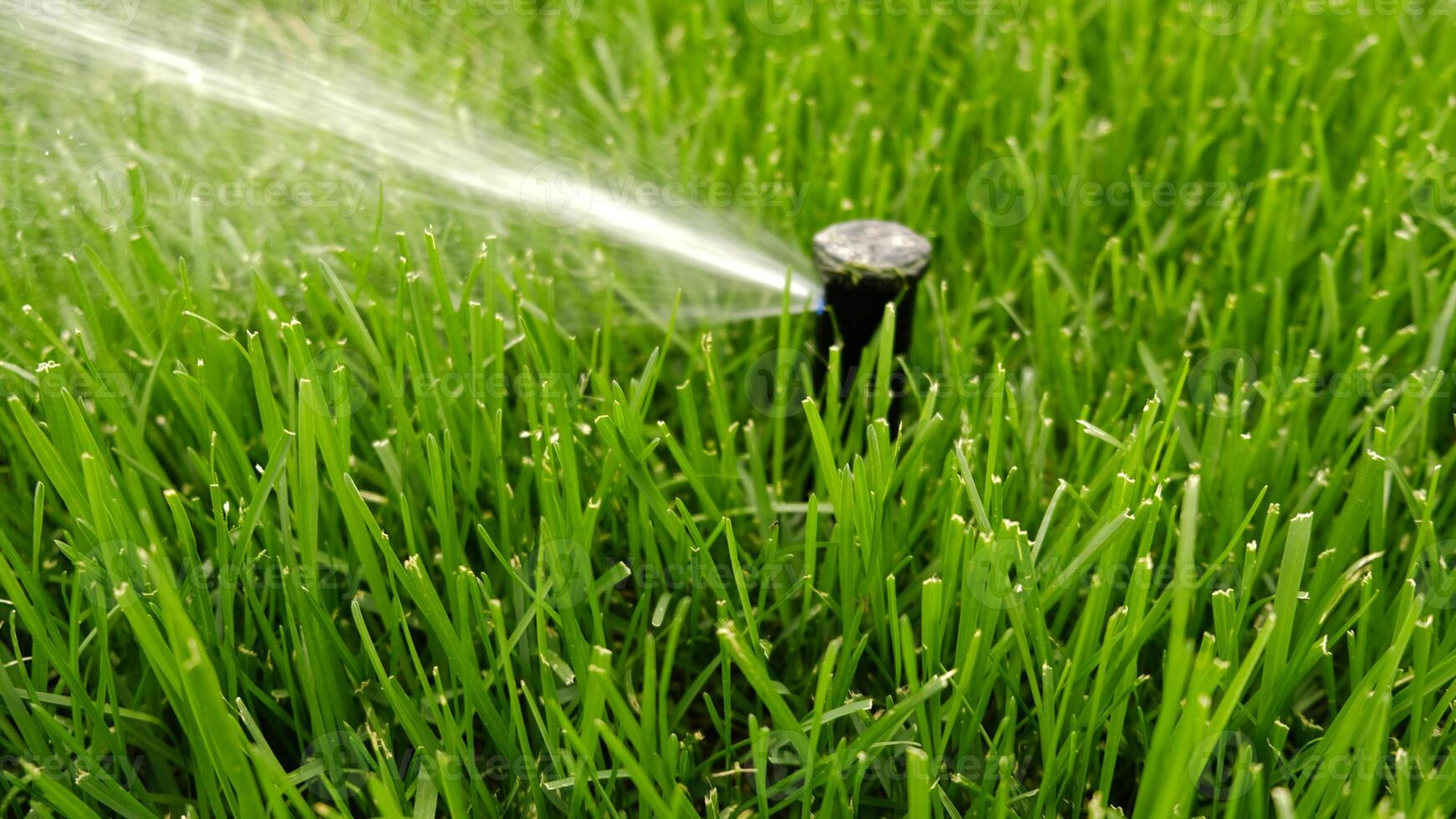 Automatic garden irrigation system watering lawn. Savings of water from sprinkler irrigation system with adjustable head. Automatic equipment for irrigation and maintenance of lawns. Gardening. photo