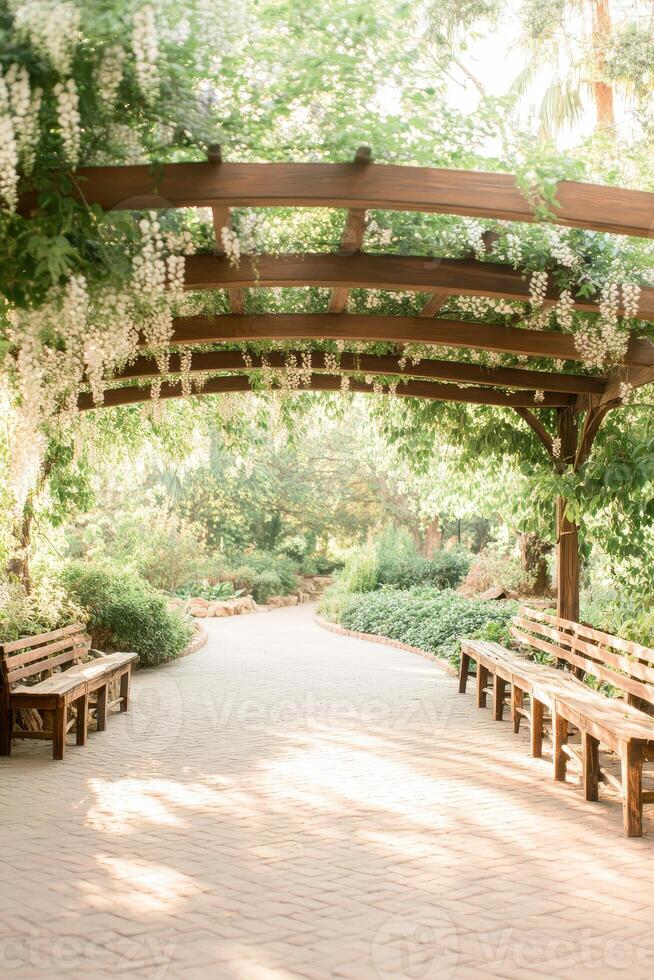 Pathway curves under wooden trellis covered white flowers. Benches line brick path through peaceful garden. Sunlight filters leaves showing greenery. Gardening background. photo