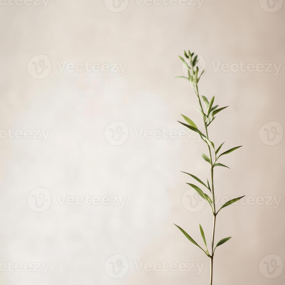 Elegant green plant branch against soft background photo