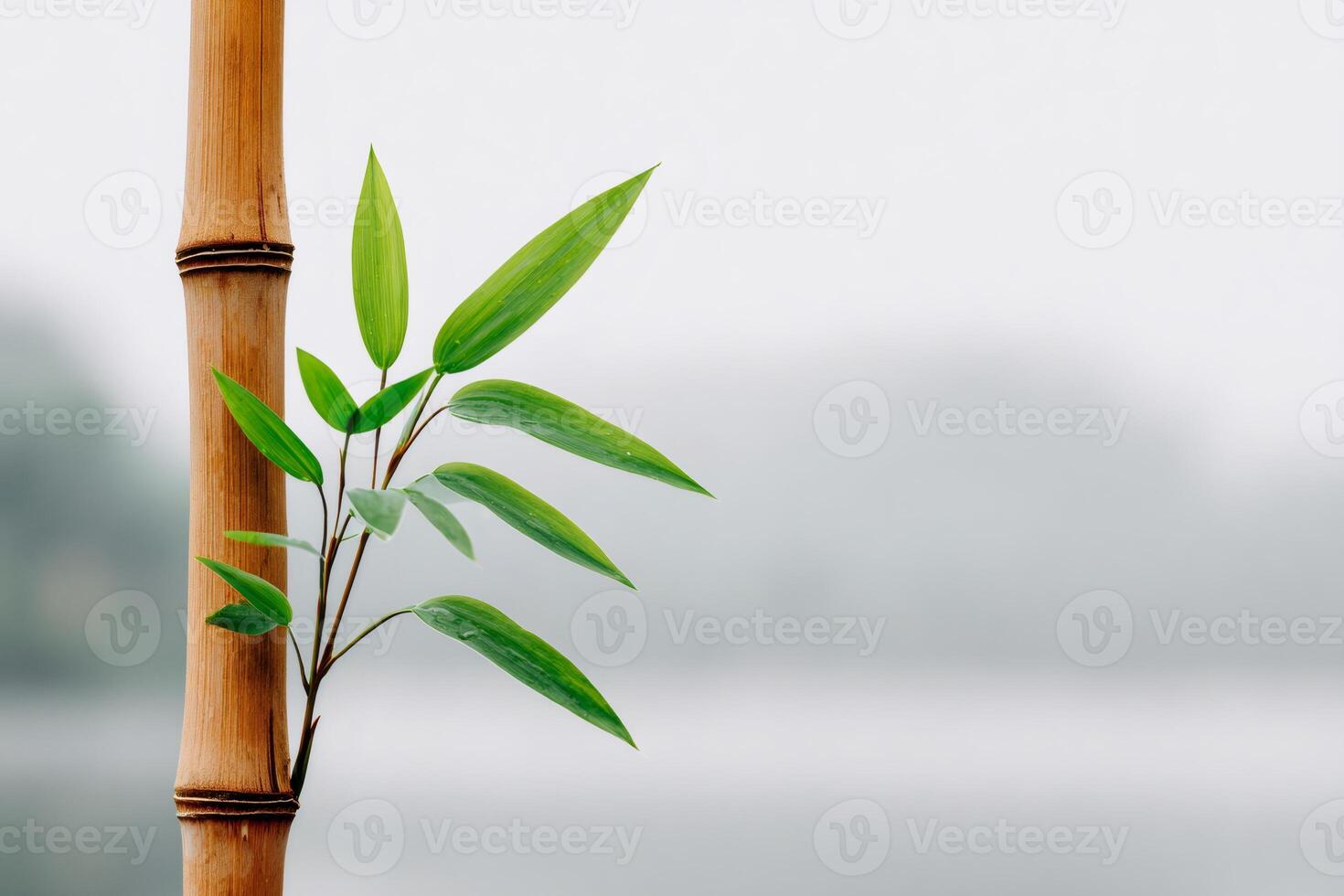 Bamboo stalk with green leaves growing near a lake on a foggy day photo