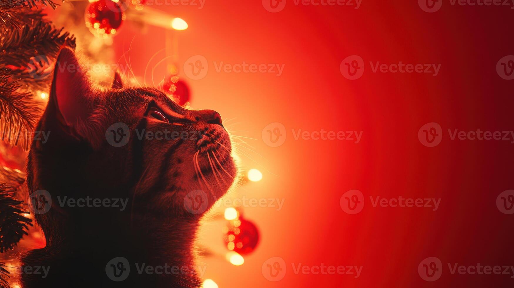Cat gazes at glowing holiday decorations while standing near a Christmas tree adorned with lights and ornaments during a festive indoor evening photo