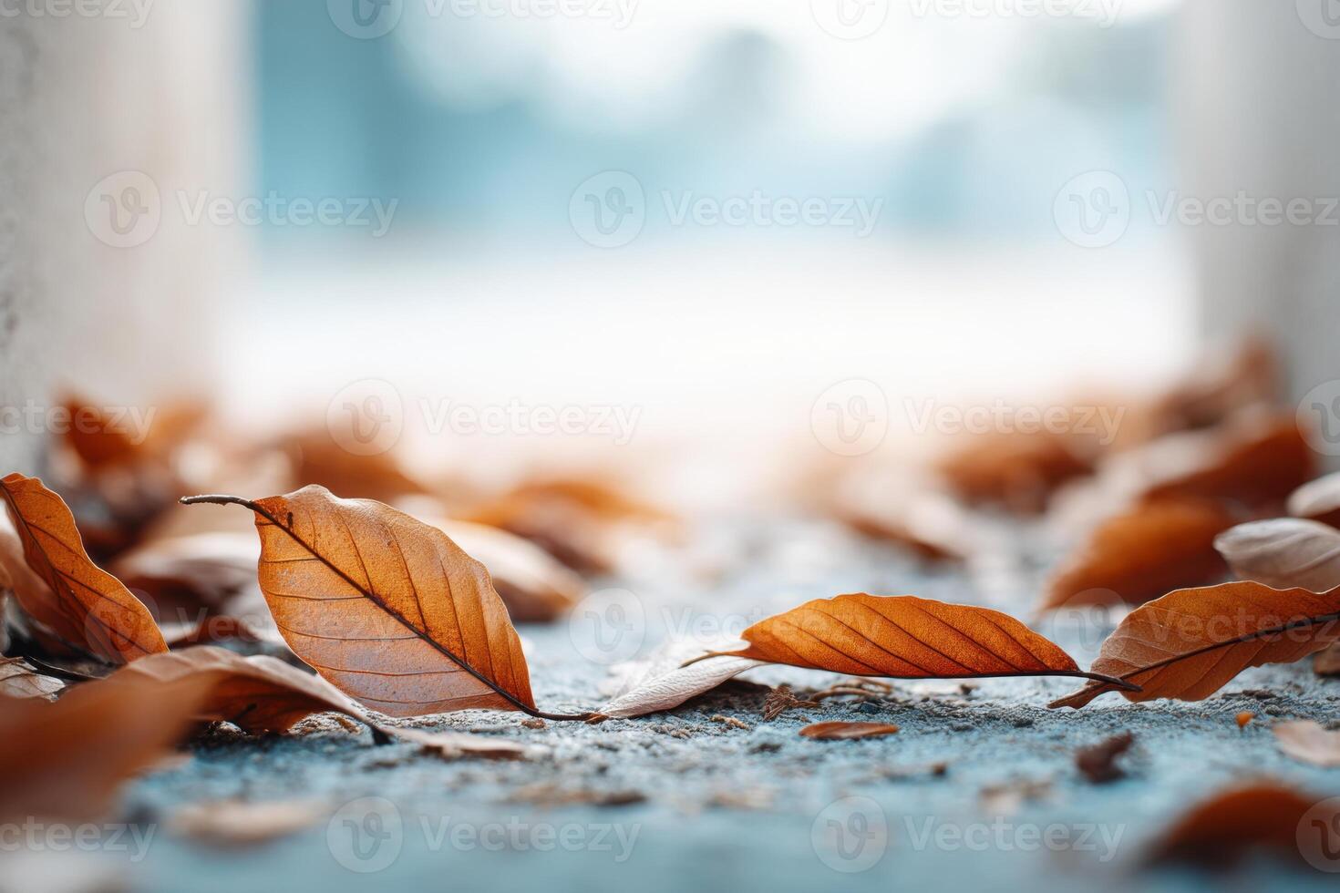 Crispy leaves scattered on the ground in a vibrant autumn setting with ample blank space for text photo