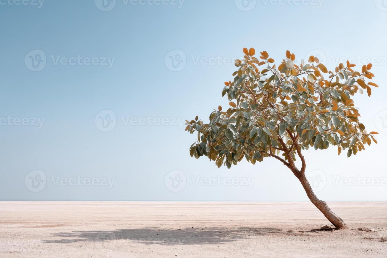 Barren fig tree under a clear sky evokes a sense of disappointment in a colorful landscape photo