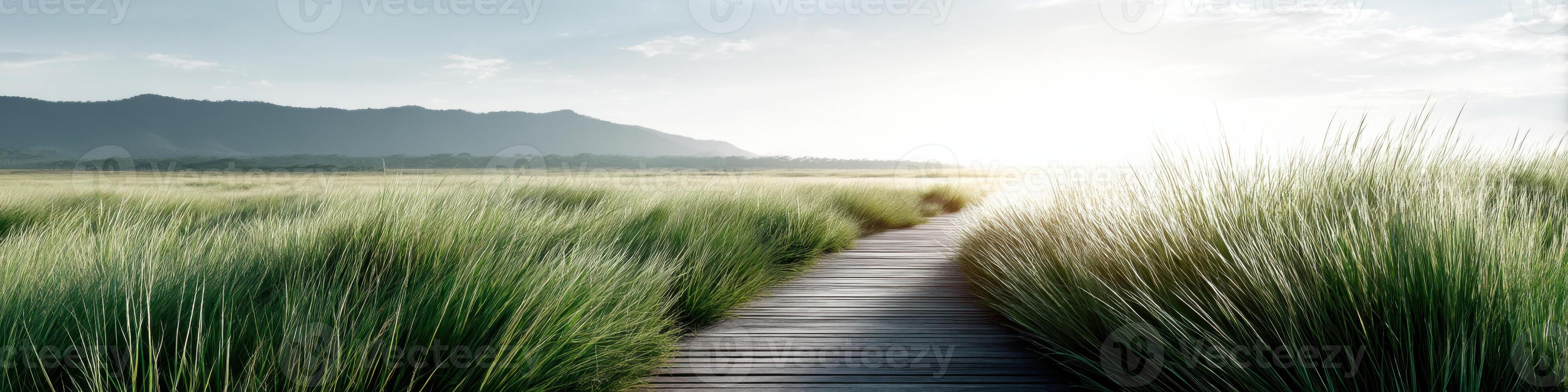 Inspiring open fields symbolizing new spiritual paths under radiant lighting photo