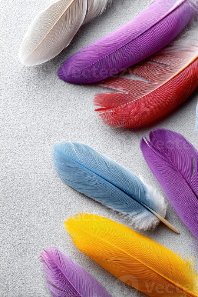 Brightly colored bird feathers displayed on a neutral background for creative use photo
