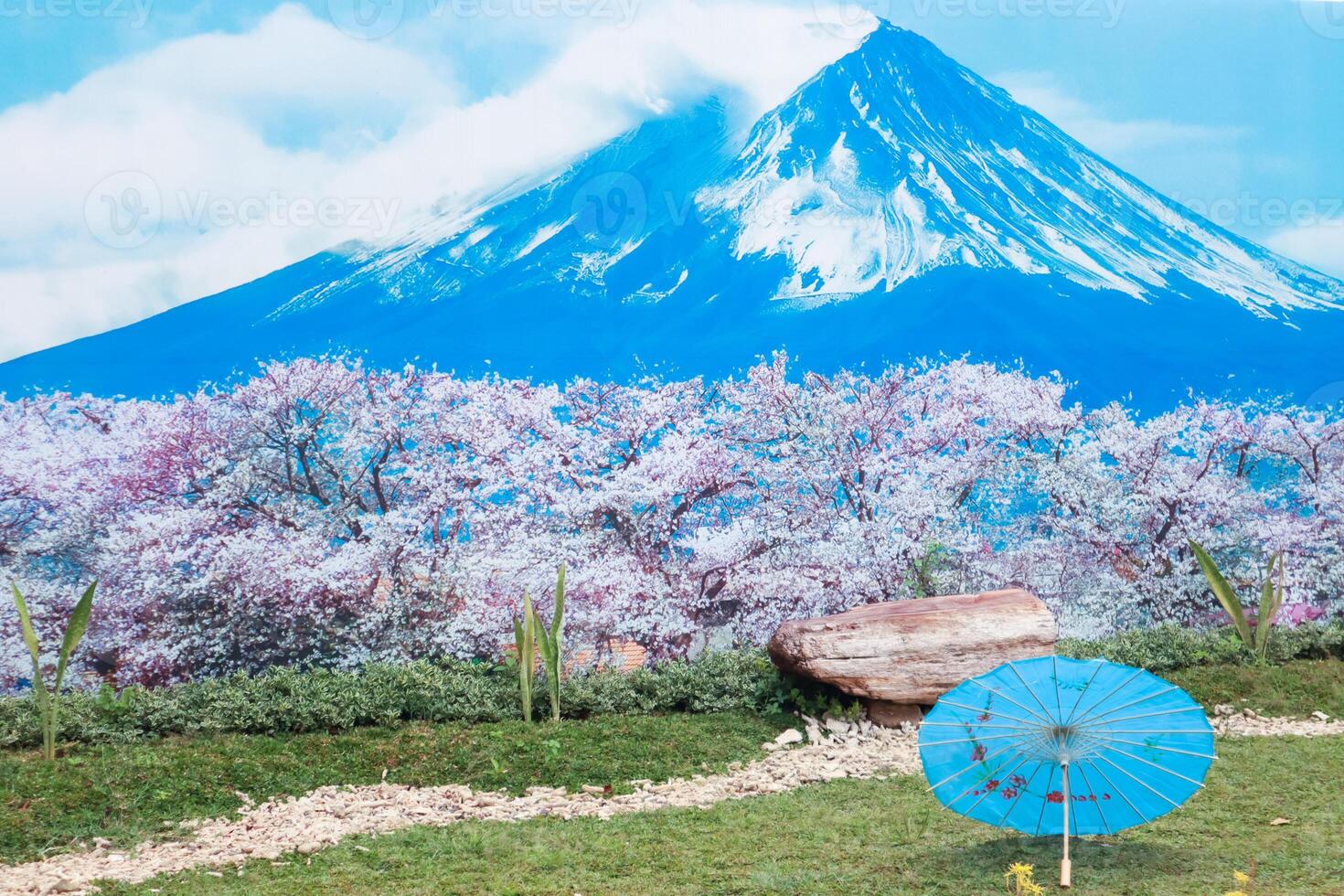 Scenic view of Mount Fuji with cherry blossoms and a blue umbrella in the foreground creating a serene and iconic Japanese landscape photo