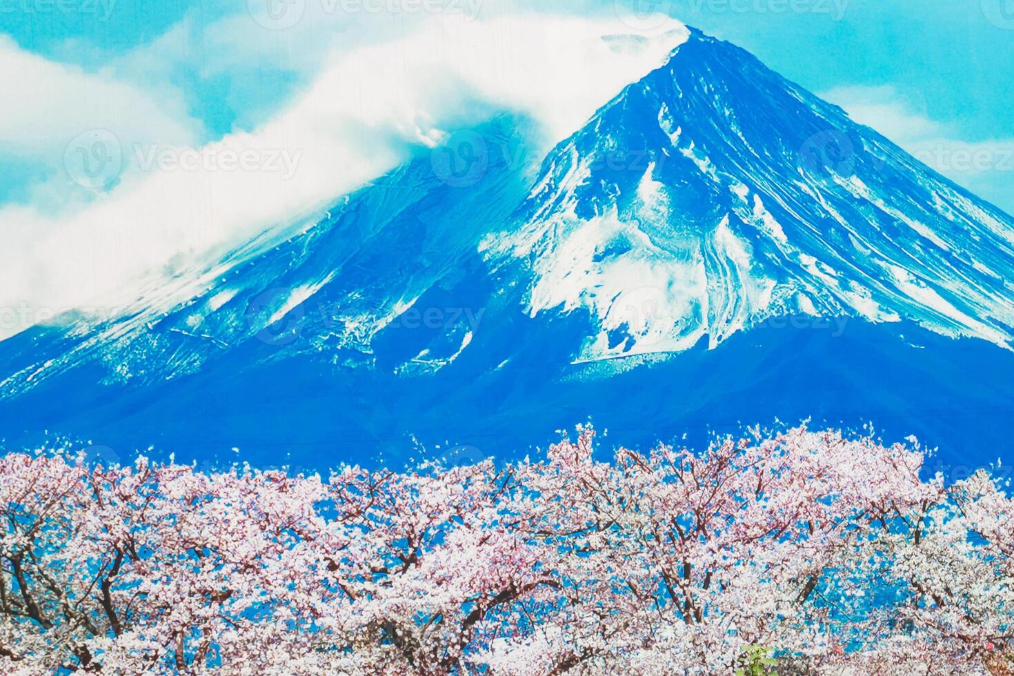 Mount Fuji with blooming cherry blossom trees in springtime landscape scenery, a beautiful Japanese view with snow mountain and flowers photo