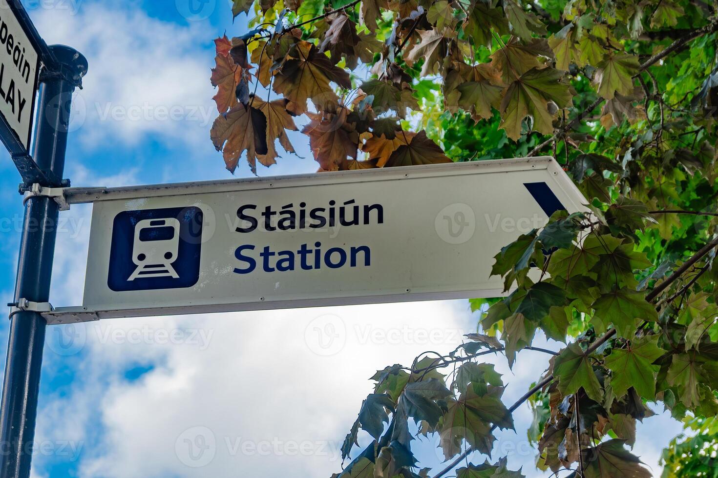 A clear view of Stlsiin Station sign blending with greenery under a vibrant sky photo