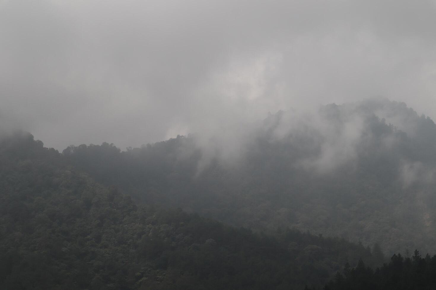 A plane flying over a mountain range with trees photo