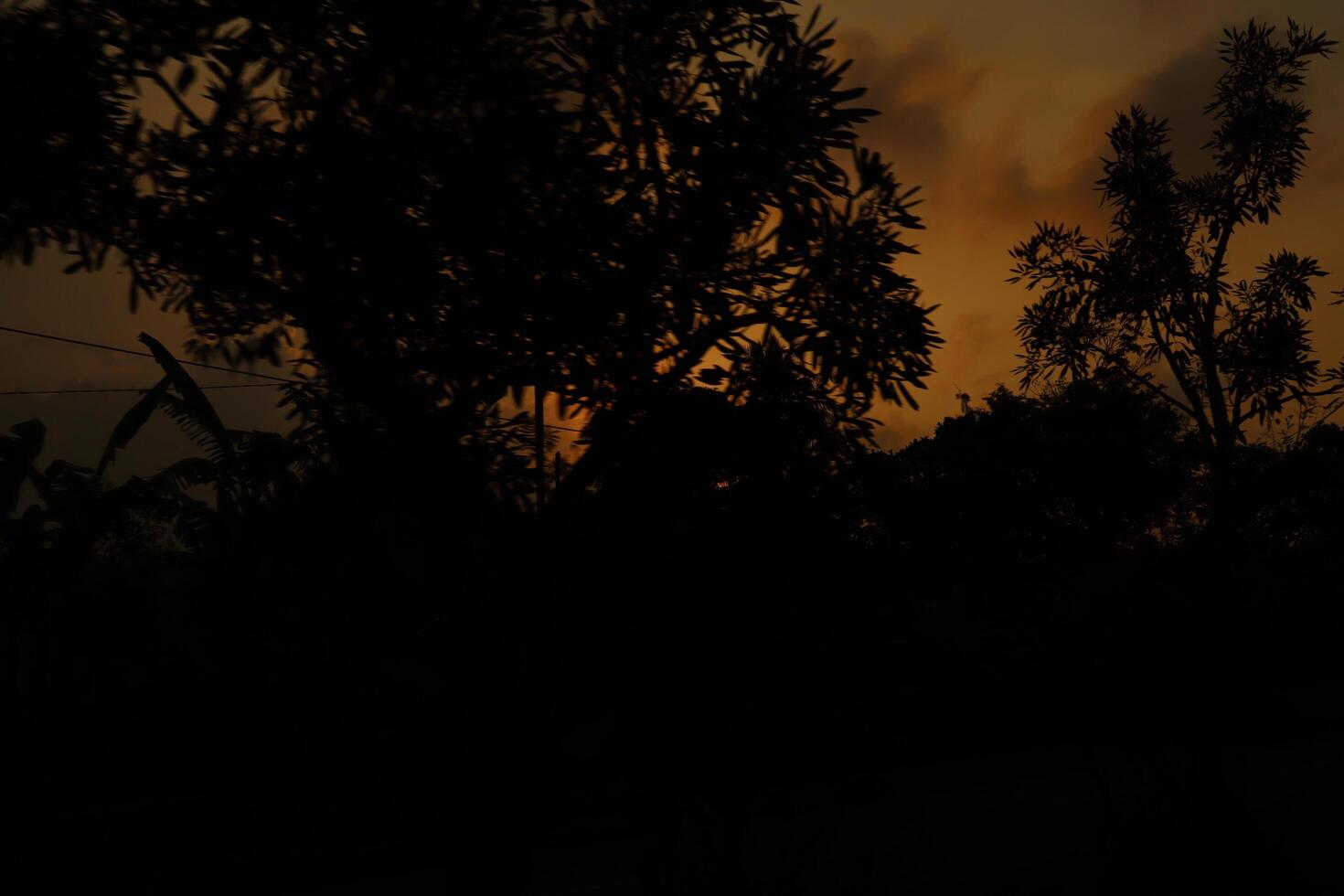 A sunset in the distance with trees in the foreground photo