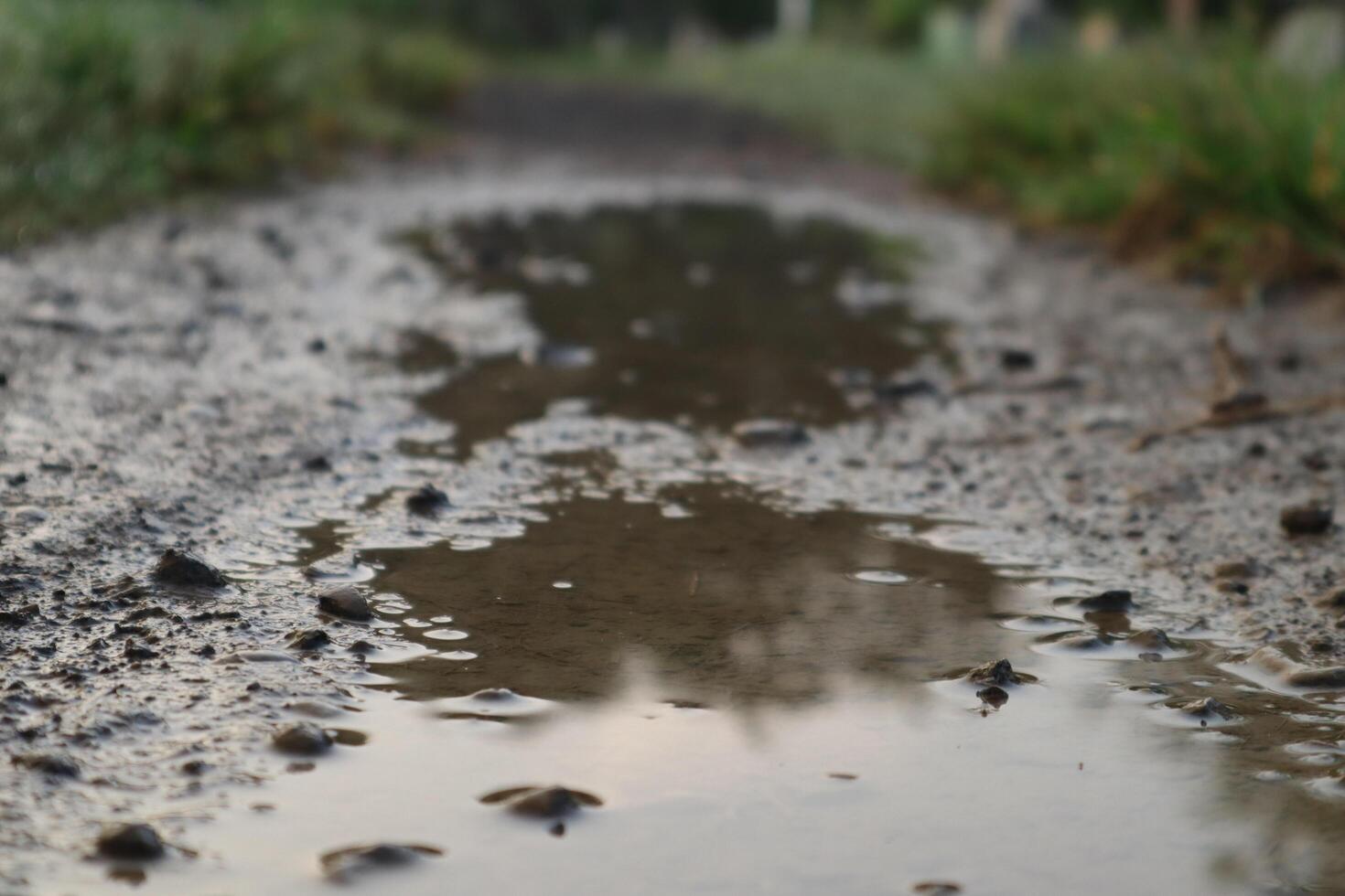 A puddle of water on the ground photo