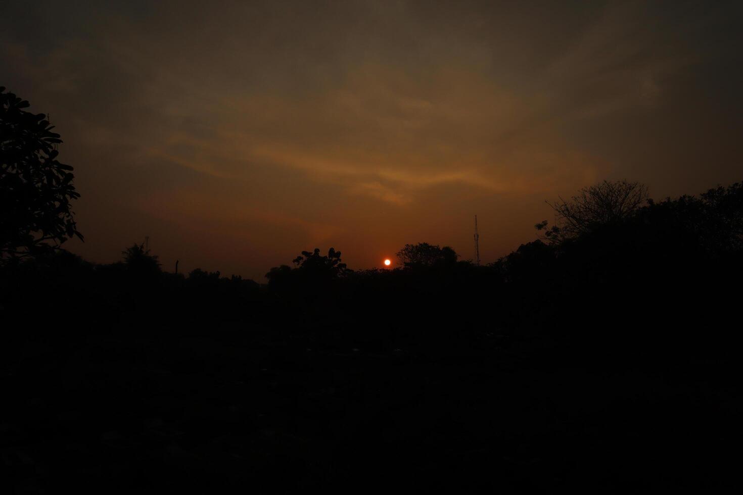 A sunset over a field with trees and a sky photo