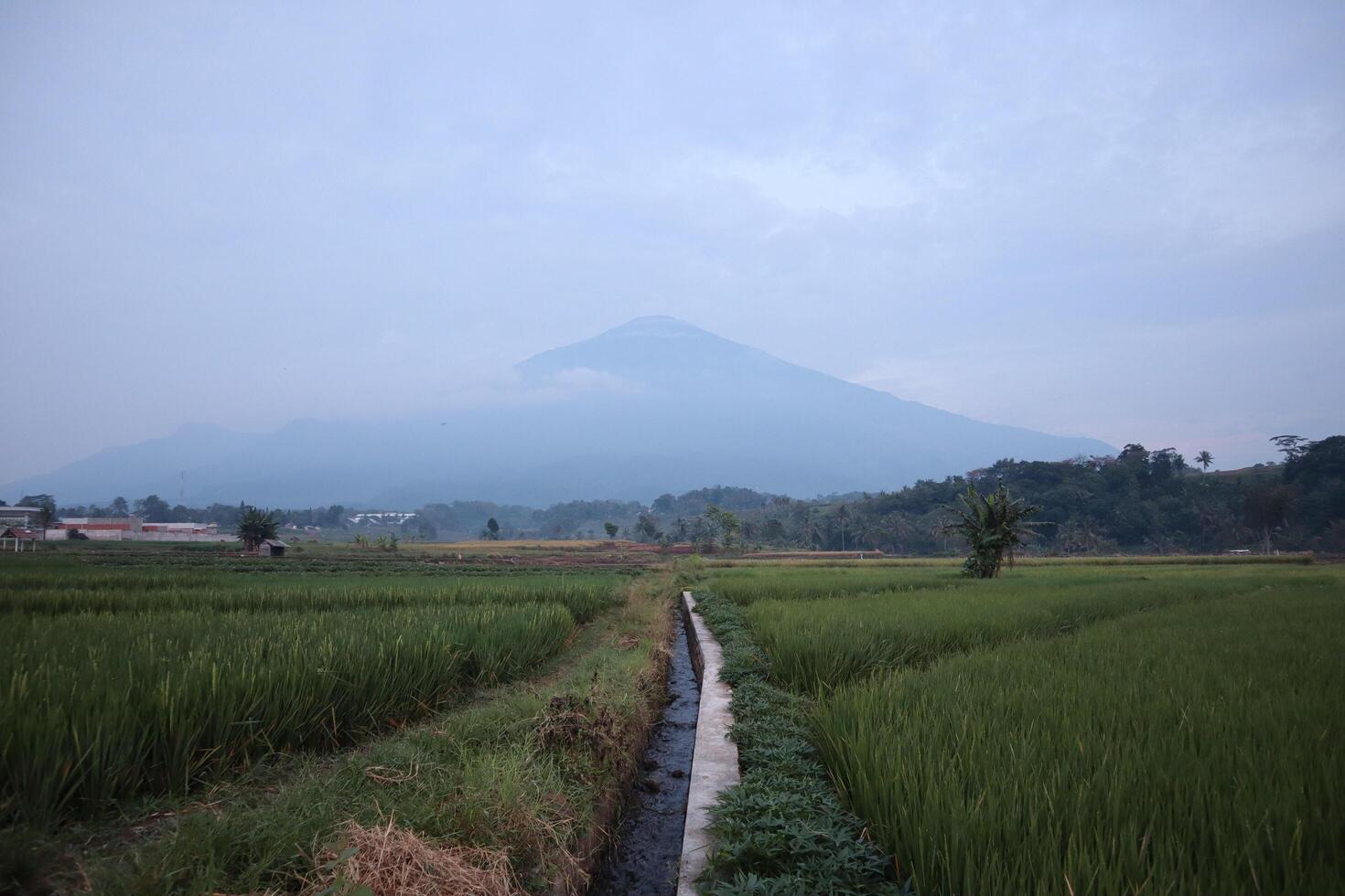 A view of a mountain in the distance photo