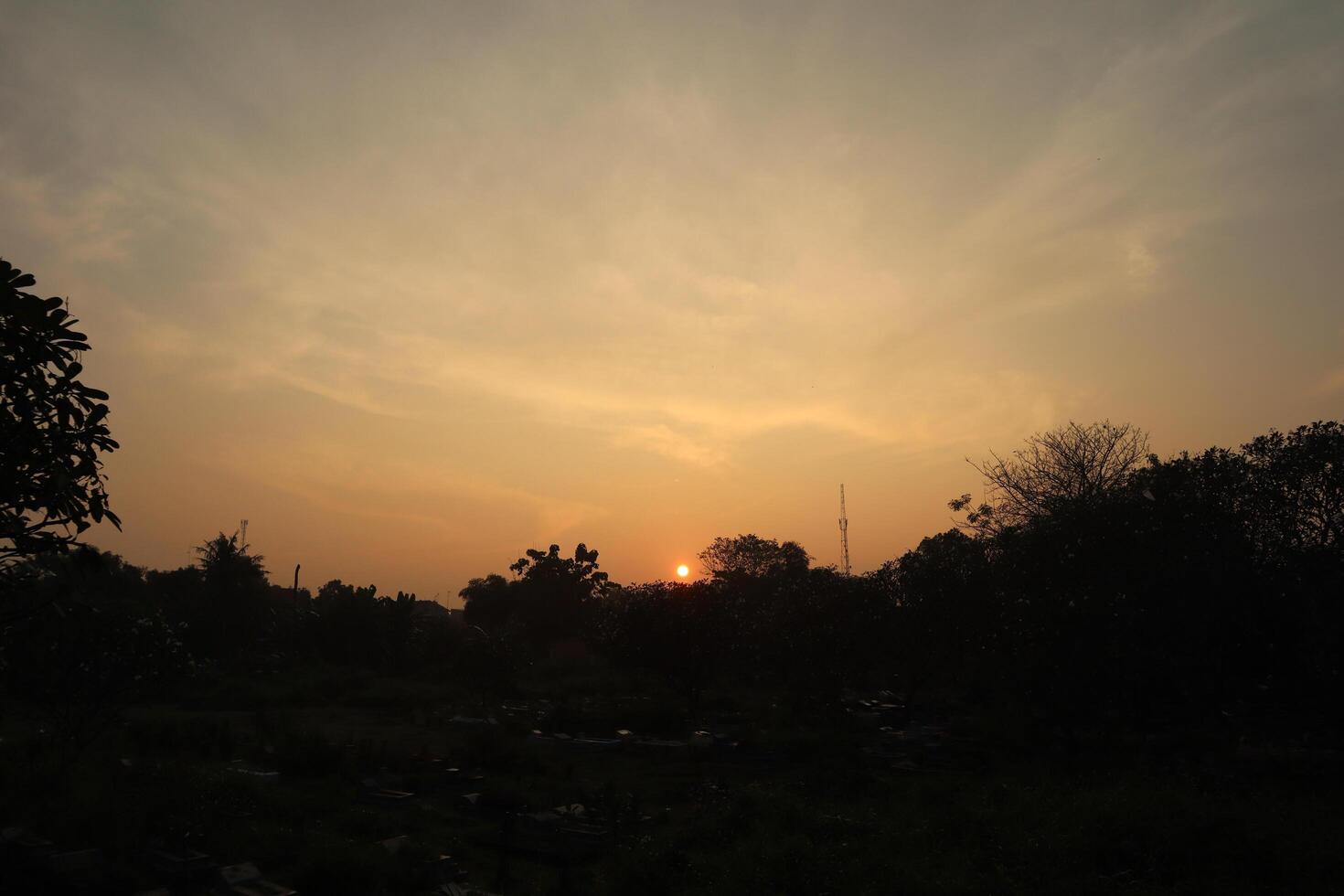 A sunset over a field with trees and grass photo
