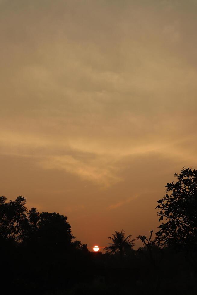 The sun setting over the horizon with trees in the background photo