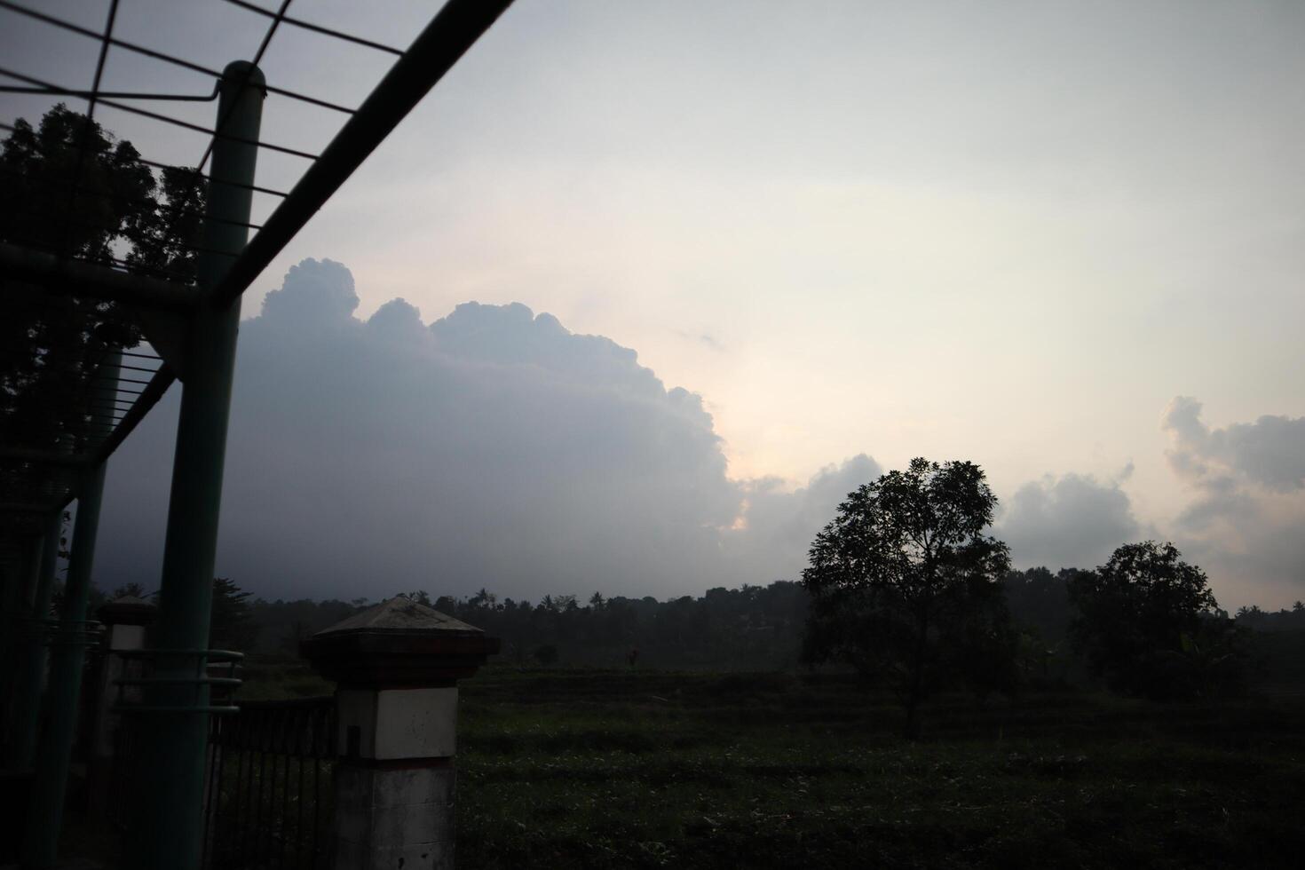 A large field with trees and a sky photo