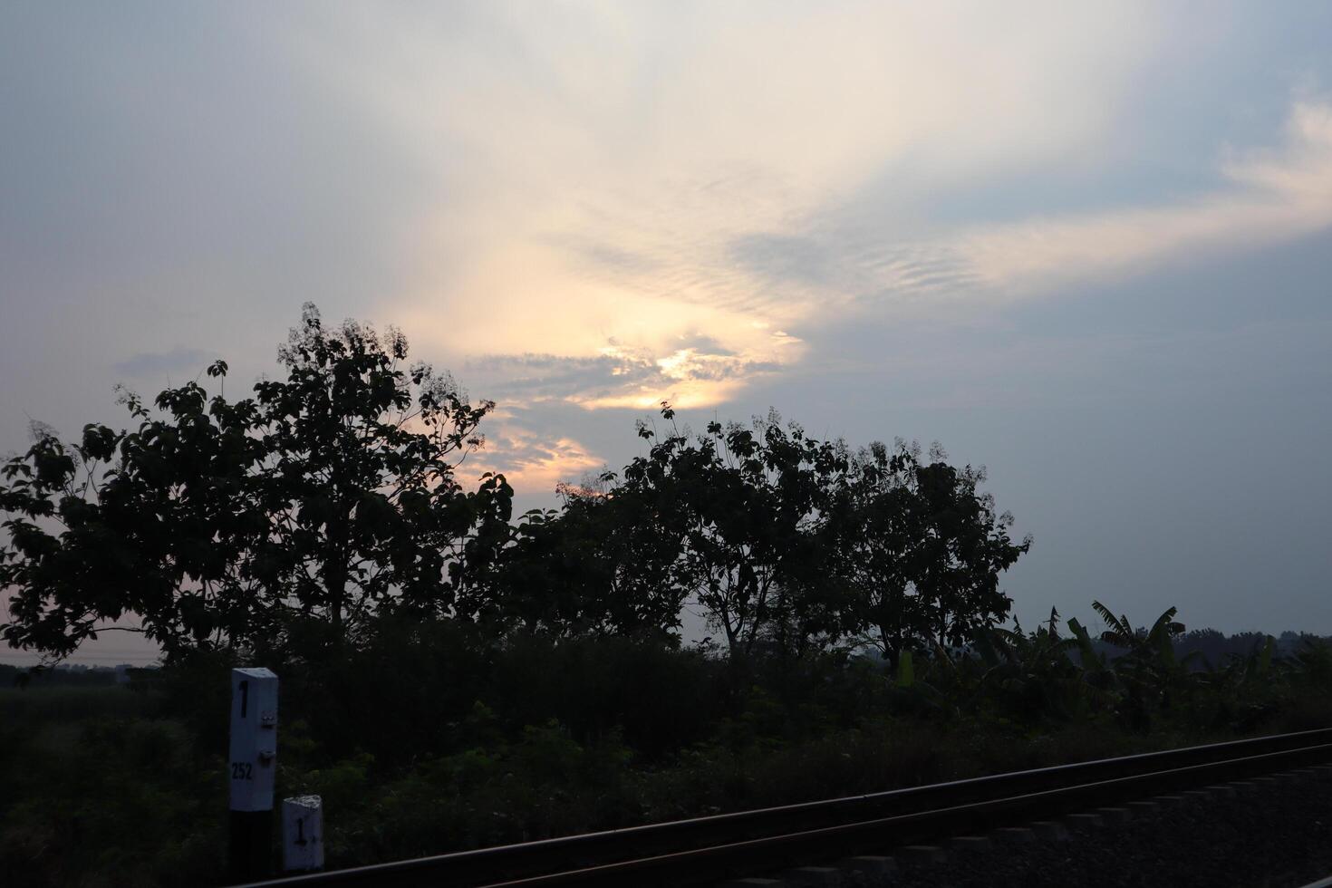 A train is passing by a field with trees photo