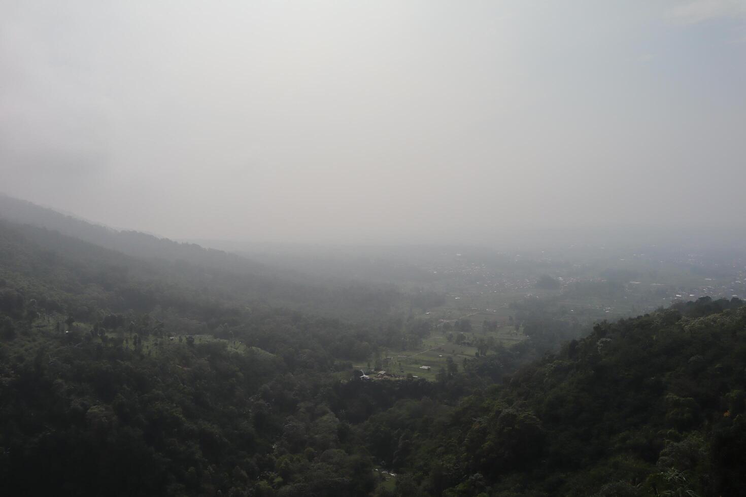A plane flying over a forested area with a few houses photo