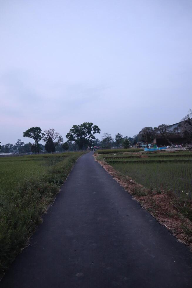 A long road with a grassy field in the background photo