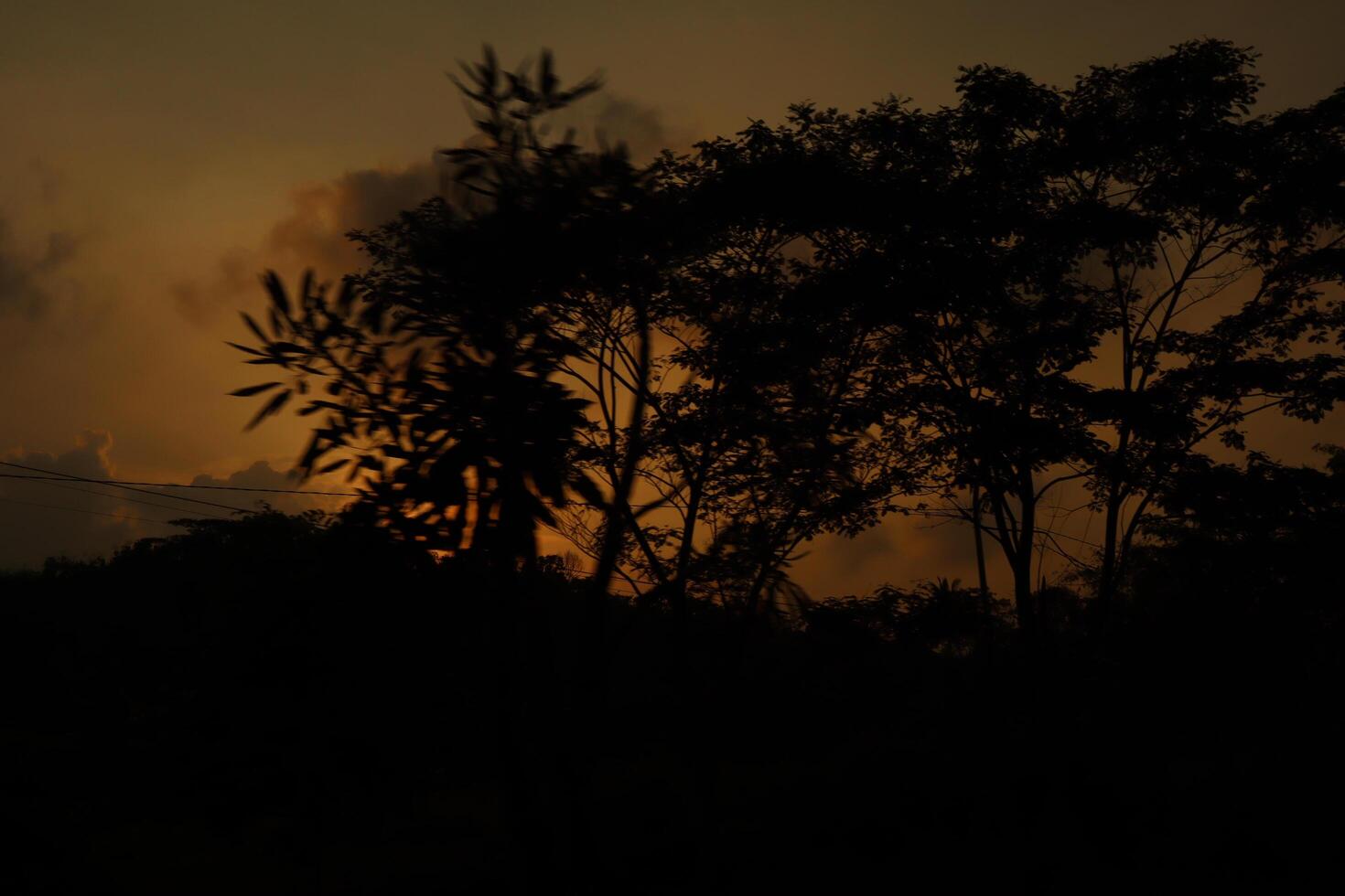 A sunset over a field with trees in the foreground photo