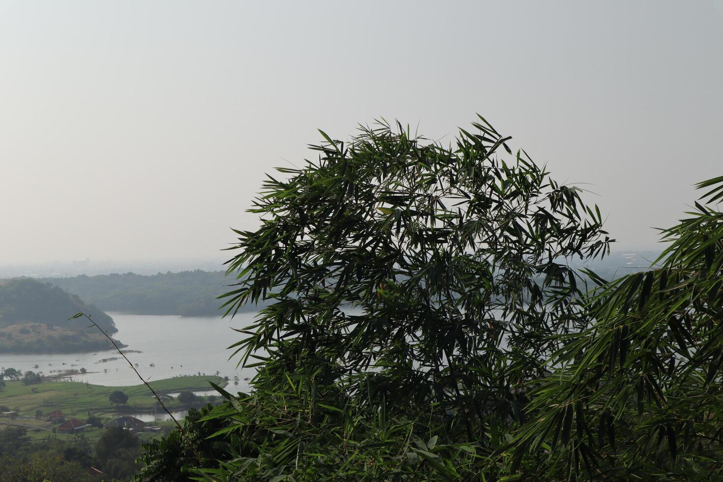 A view of a city and a lake from a hill photo