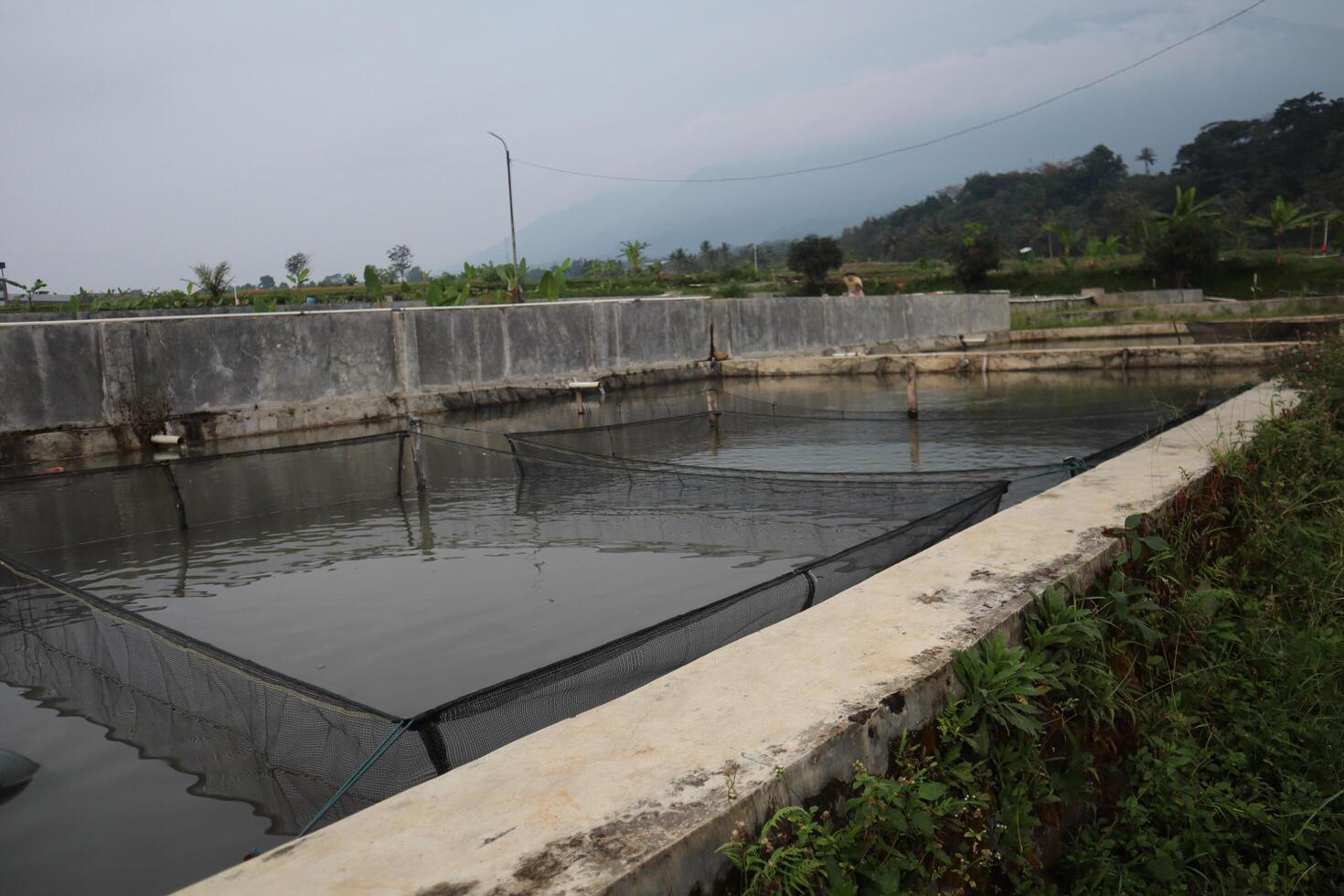 A large pond with a fence around it photo