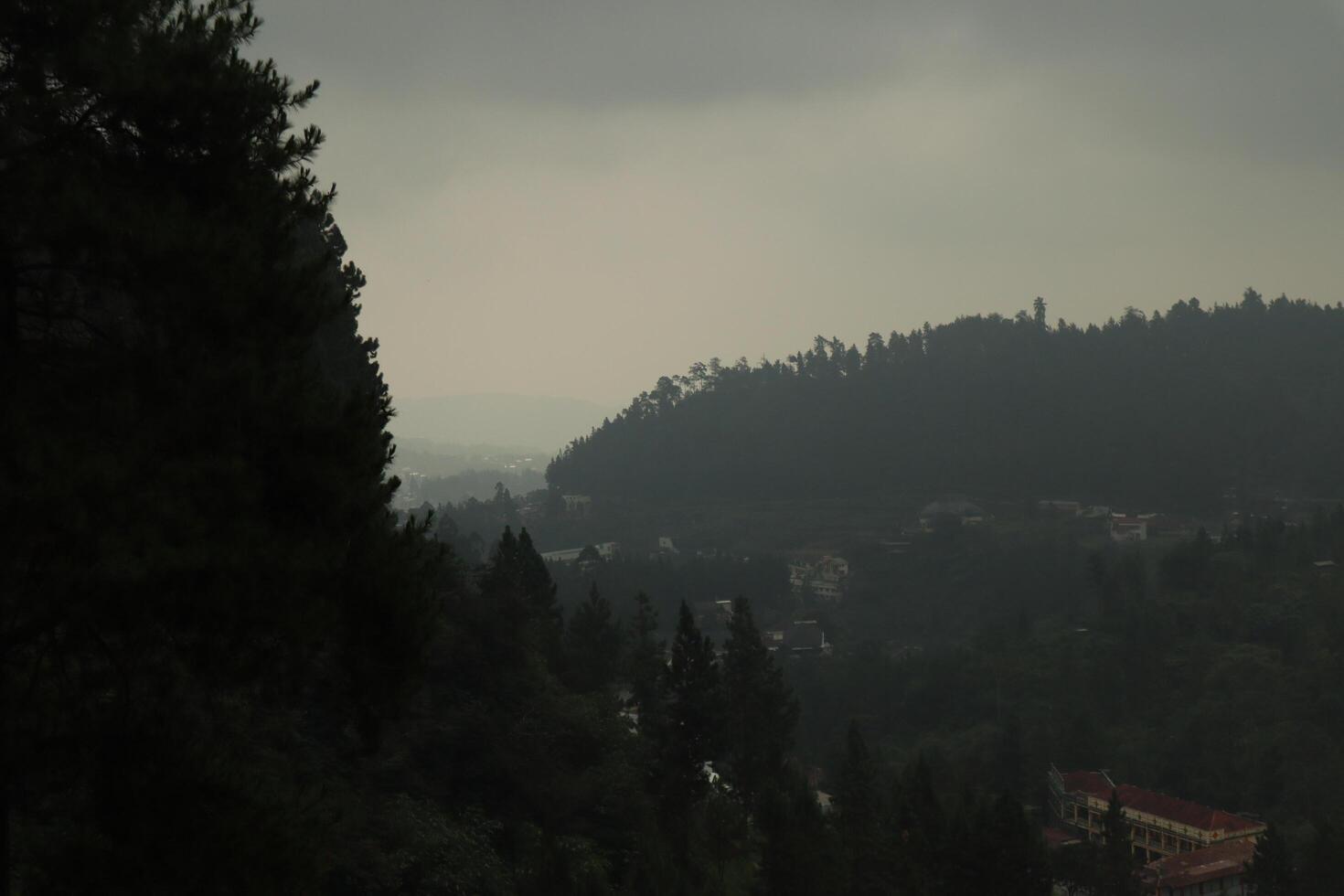 A plane flying over a forested area photo
